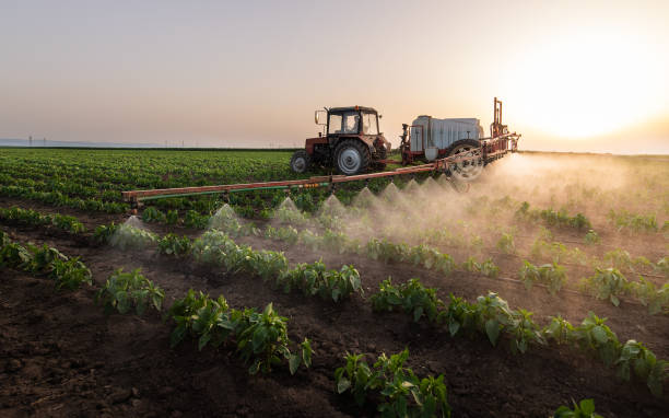 Best Pest Removal Services  in Groves, TX