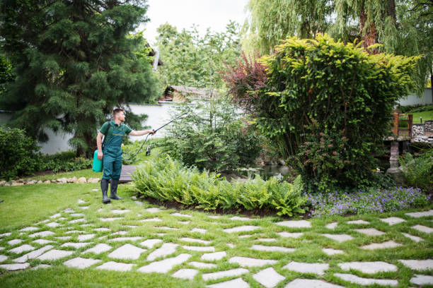 Best Wasp Removal Services  in Groves, TX