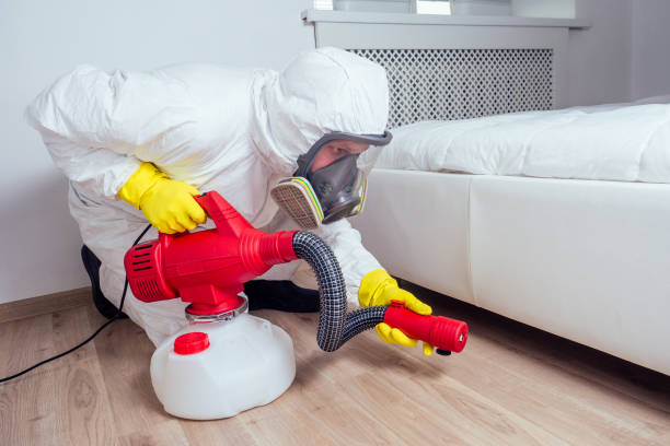 Best Pest Prevention Services  in Groves, TX