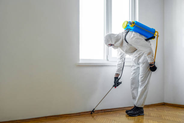 Best Affordable Pest Control Services  in Groves, TX