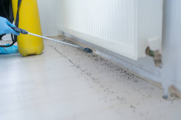 Best Cockroach Control Services  in Groves, TX