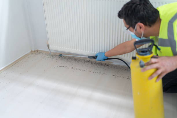 Best Wasp Removal Services  in Groves, TX
