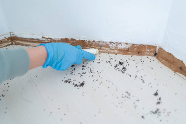 Pest Control for Restaurants in Groves, TX