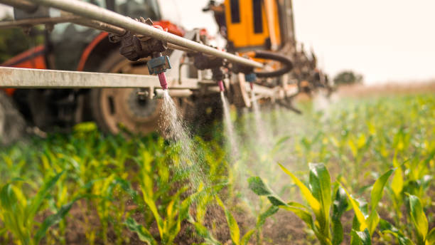 Best Pest Control Treatment  in Groves, TX